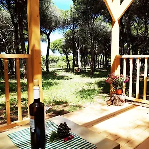 Сasa de vacaciones The Pineforest, Chiclana de la Frontera